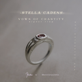 Non-Aggression Principle: Vows of Chastity~ ring ((MTO))