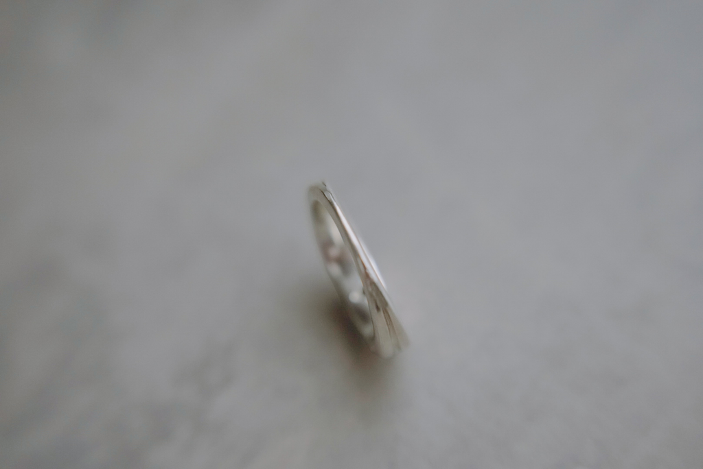 Non-Aggression Principle: Vows of Chastity~ ring ((MTO))